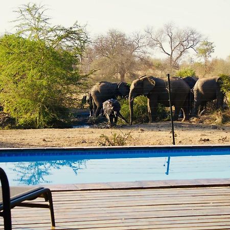 Masodini Game Lodge Grietjie Game Reserve Esterno foto