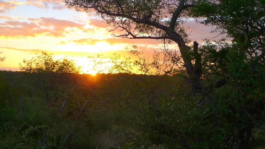 Masodini Game Lodge Grietjie Game Reserve Esterno foto